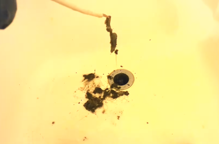 Why Your Bathtub Drains Slowly and How to Fix It